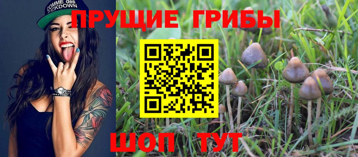 Галлюциногенные грибы прущие грибы  продажа наркотиков  Кемерово  Псилоцибиновые грибы Cubensis  Вход с VPN 